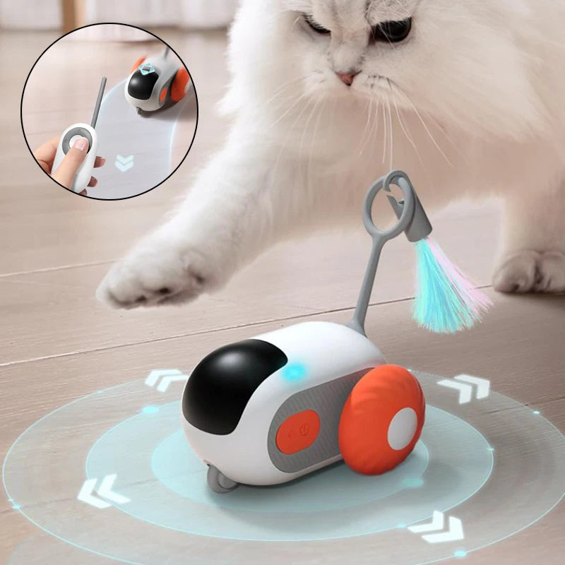 Remote Control Cat Car